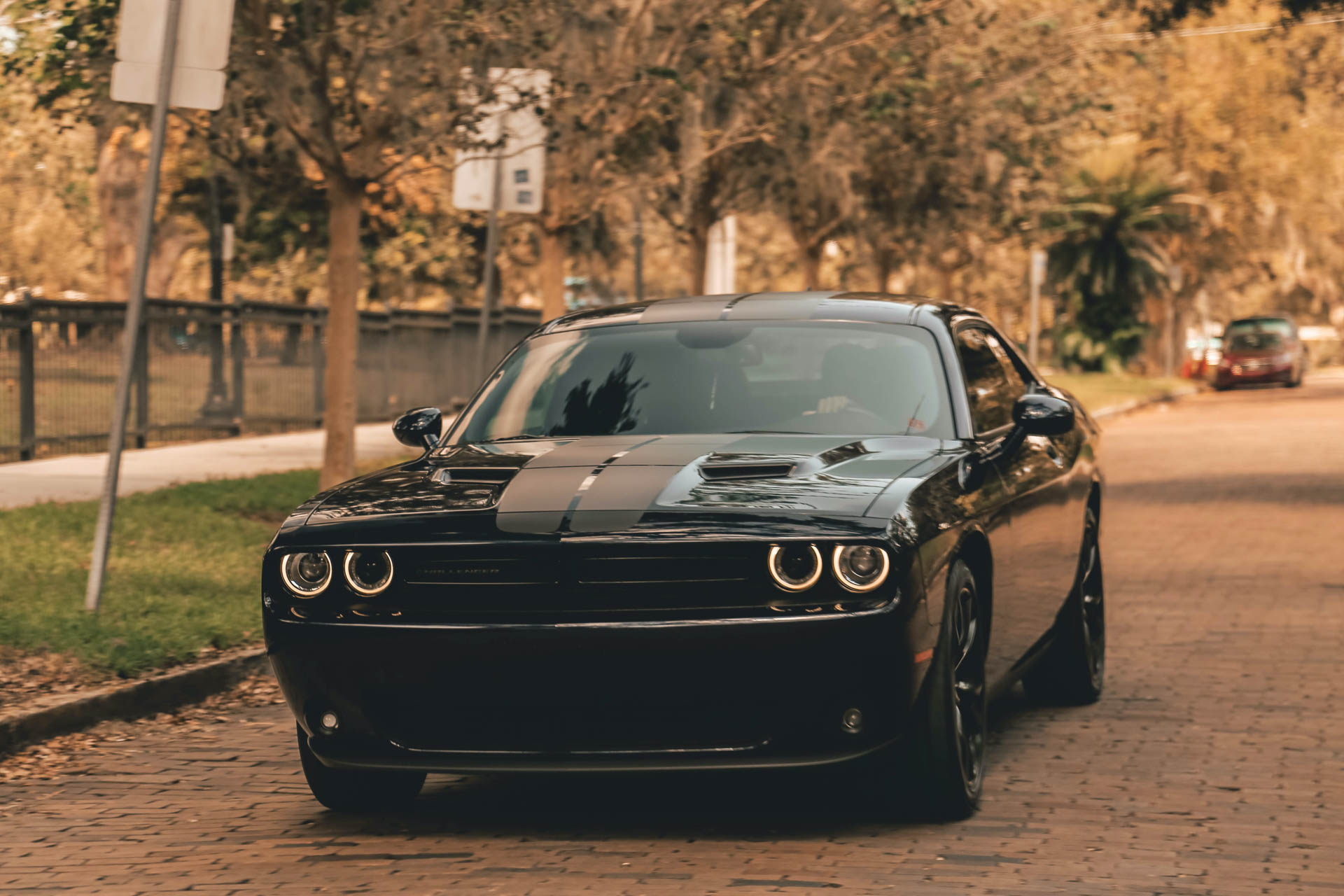 riggs-motors-performance-car-1