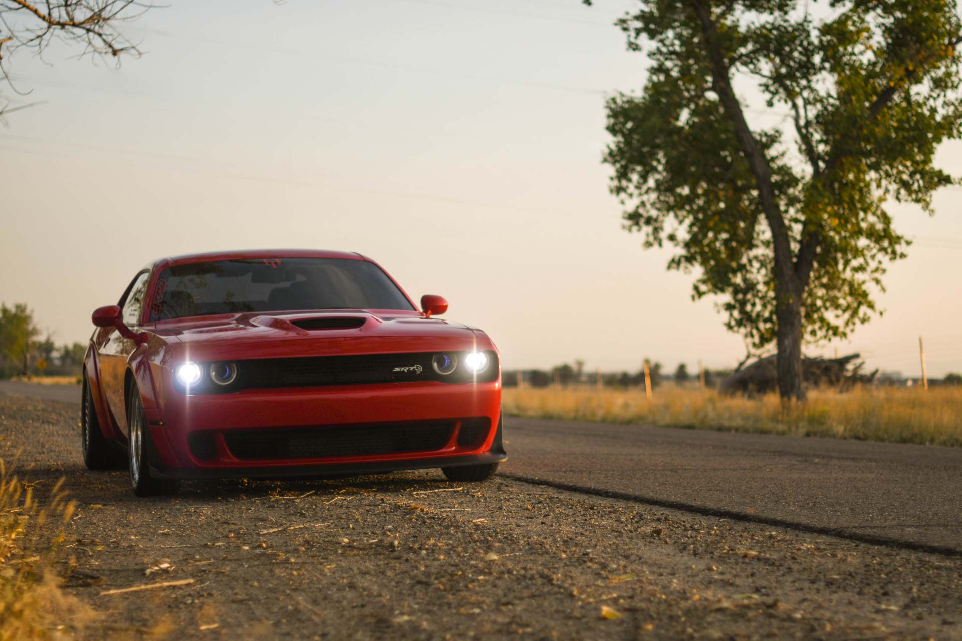 riggs-motors-performance-car-5